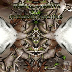 Implications Of Understanding PROMO Mix