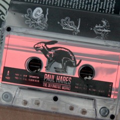 DT008: PAUL HARES - To Chew The Fat (PT VIII)