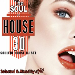 The Soul of House Vol. 30