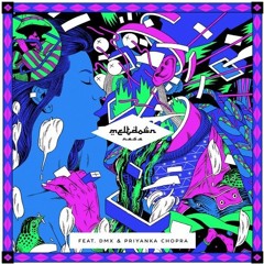 N.A.S.A. - Meltdown (feat. DMX & Priyanka Chopra) [SumPPLzKids Remix] *Preview*