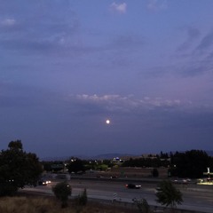 karen o - the moon song