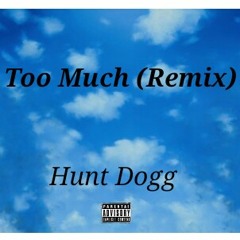 Too Much (Remix)