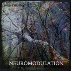 ancestral data . Available at Neuromodulation.bandcamp.com