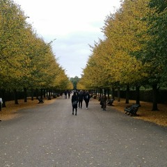 مرضان سيادتك، حسن محجوب