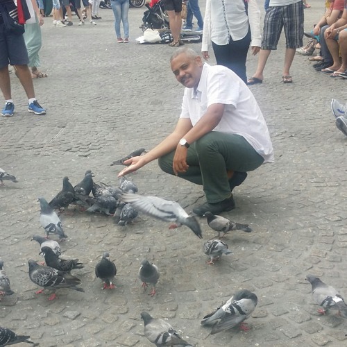 مرضان سيادتك، حسن محجوب