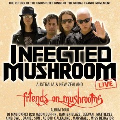 Live @ Infected Mushroom 2015