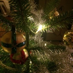 You don't like the Christmas lights