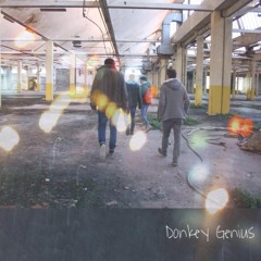 Donkey Genius EP