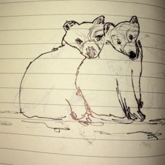 The Weather In The Forest