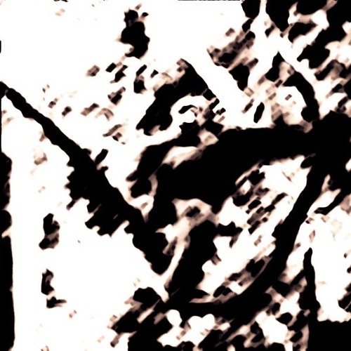 Elym - Sumatran Jungle Dream