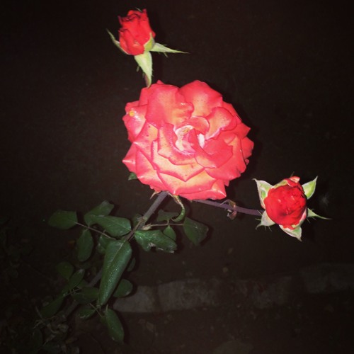 Moomal Rano Sohrab Faqeer