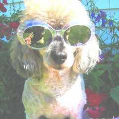 Find Me Somebody to Love