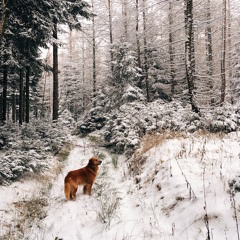 Globalbeats.fm Winter Special (19-12-15)