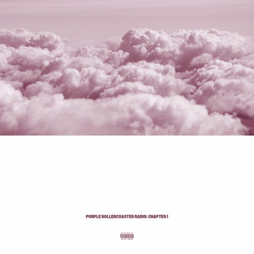 Purple Rollercoaster Radio, Chapter 1