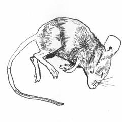 ALGERNON (Prod. By Hendrix Jacobs)