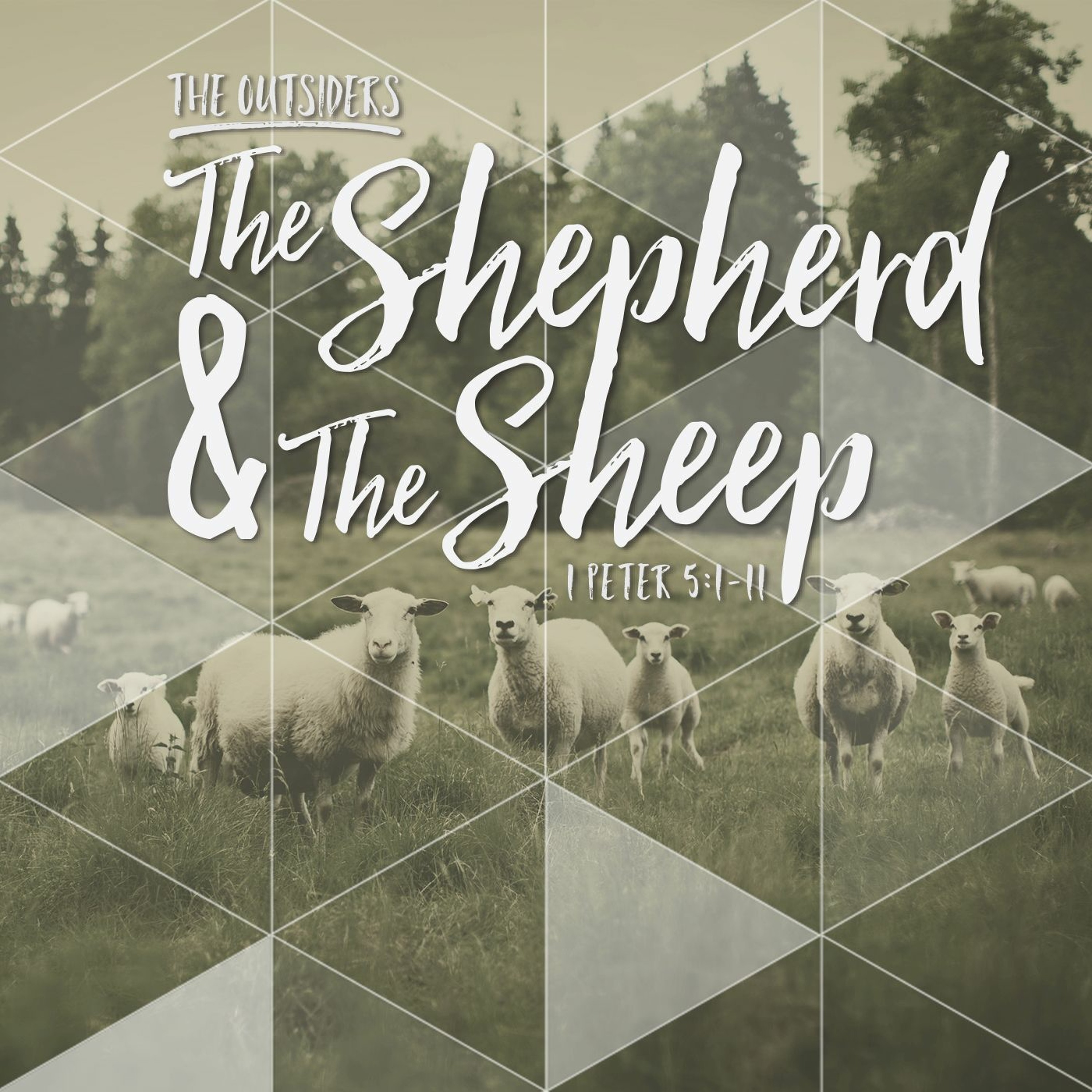 12.27.15  The Shepherd & The Sheep (1 Peter 5:1-11) episode artwork