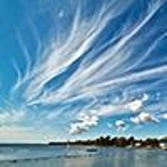 8 - Om Namo Bhagavate .... (free download)