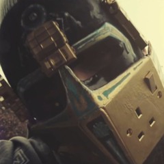 Destiny X Mr Flakes - I C