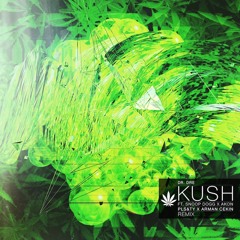 Dr. Dre - Kush (feat. Snoop Dogg & Akon) (PLS&TY & Arman Cekin Remix) [Re-upload]