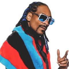 Charlotte Devaney feat Snoop Dogg - Flip It (Flat Basse Remix) PREV