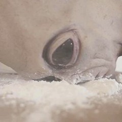 under some new influence