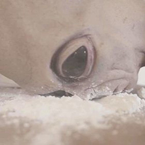 under some new influence