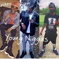 Young Niggas
