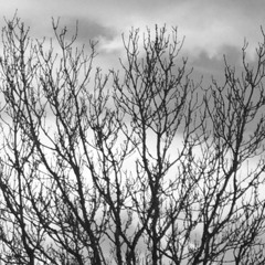 Rivers & Robots - Fall Down (Donnie Beats Live Remix)