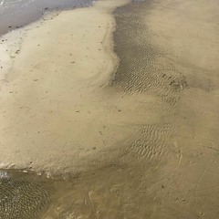 Sand Ripples