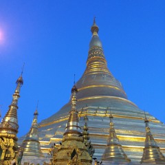 Novice Thilashin at Shwedagon Pagoda