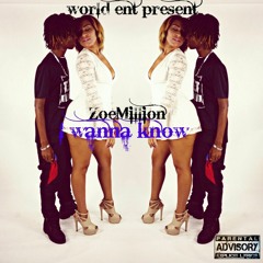ZoeMillion - I Wanna Know