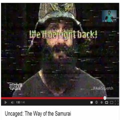 brian wilson uncaged - samurai (jz knights intro)