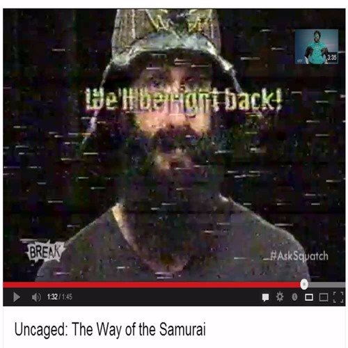 brian wilson uncaged - samurai (jz knights intro)