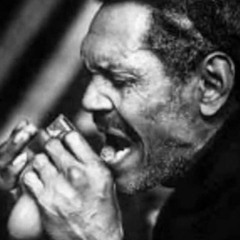 Big Walter Horton - Blues Harp Shuffle {Electro Blues Remix} NEW VERSION