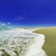 Traveller Vol.6 (Cape Town,South Africa)