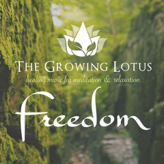 Freedom - Soft Healing Music for Meditation and Relaxation