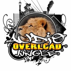 FREE RAGGA JUNGLE & DUBWIZE (AOJR00FR33 )