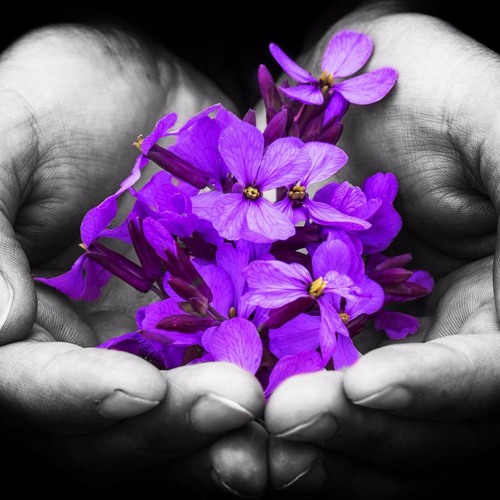 Stream Def Starz City Sunsets (Epic Soulful Trumpet Rap Beat Hip Hop