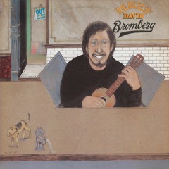 Mr. Bojangles: David Bromberg