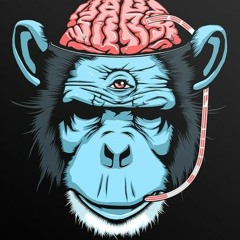 Brain Distortion
