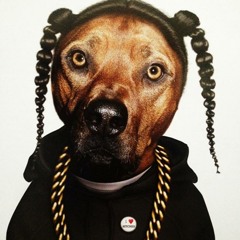 Snoop Dogg, Wiz Khalifa, Bruno Mars Vs Swedish House Mafia - Young Child - Submission DJ -Mashup