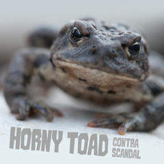 Horny Toad