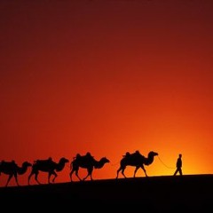 محمّد رضا شجریان ـ کاروان
