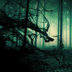 Play - Dance - Ambient - Electro
