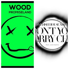 Promise Land & Swedish House Mafia - Don't You Worry Wood (Promise Land Vip Mashup)