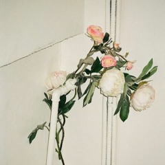 Shleepy Sundays / No. 29