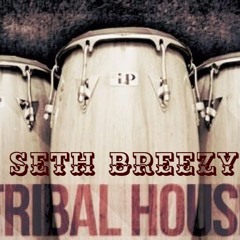 Lets Have A Tribal Kiki - Seth Breezy vs Bongotrack