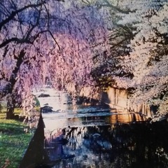 King Zay- Den Mother