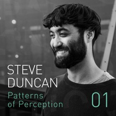 Patterns of Perception 01 - Steve Duncan