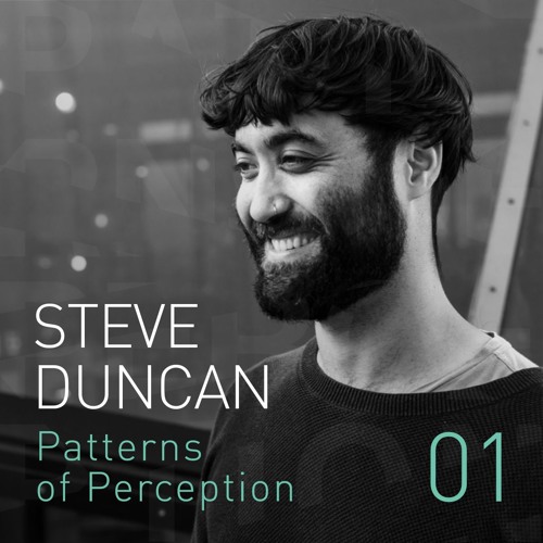 Patterns of Perception 01 - Steve Duncan